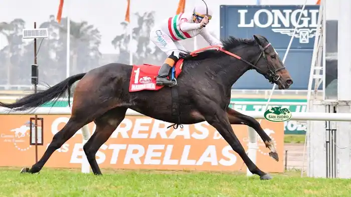 Domingo 12: Actividad Hipódromo de San Isidro