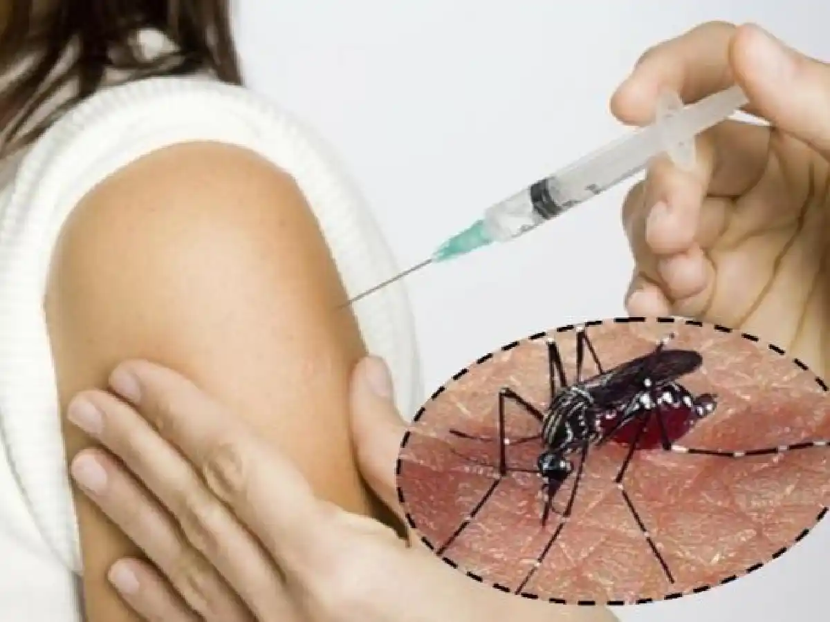 La Anmat aprobó el uso de una vacuna contra el dengue para mayores de 4 años