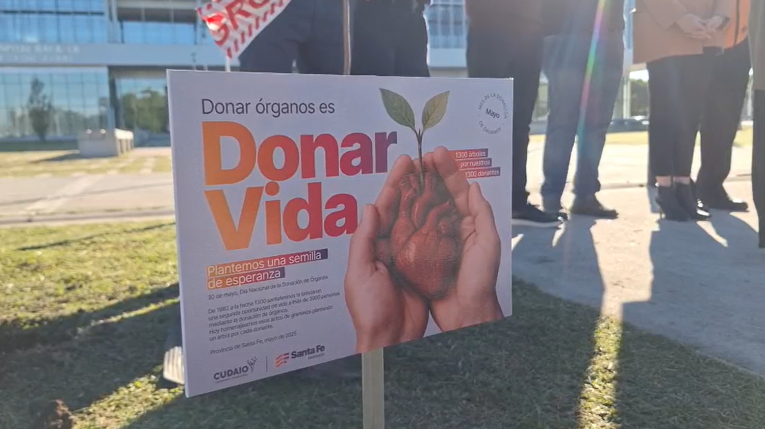 Rafaela rindió homenaje a 1.300 donantes de órganos con la plantación de árboles