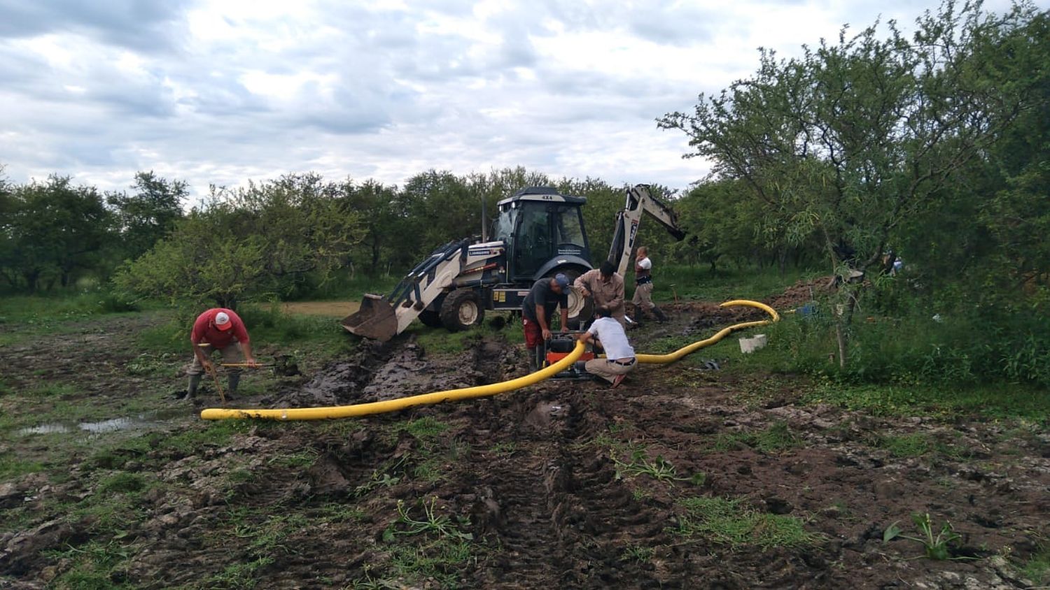 Reparación de caño madre