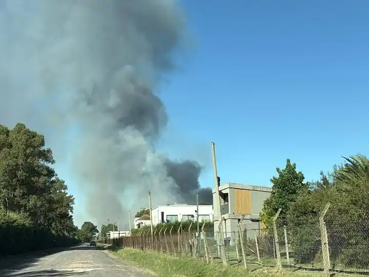 Incendio 3