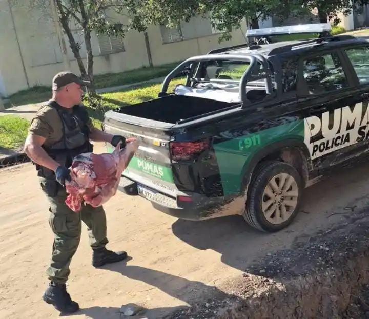 Secuestraron en una ruta santafesina casi una tonelada de carne de "dudosa procedencia y sin cadena de frío"