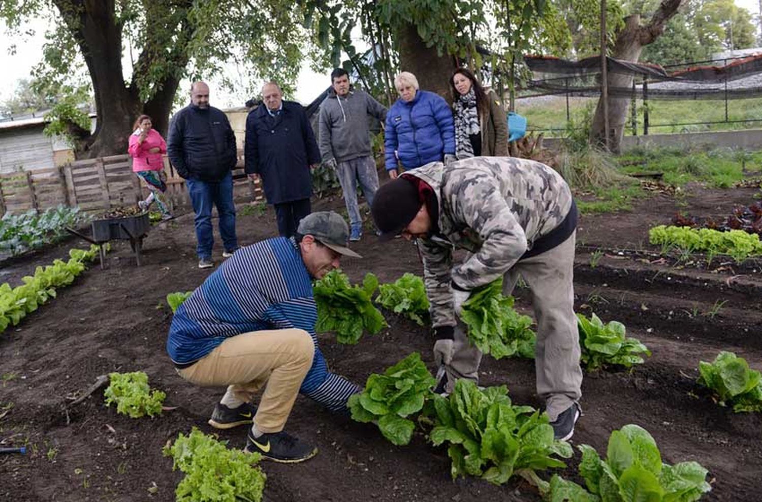 Arroyo recorrió la huerta comunitaria del barrio López de Gomara