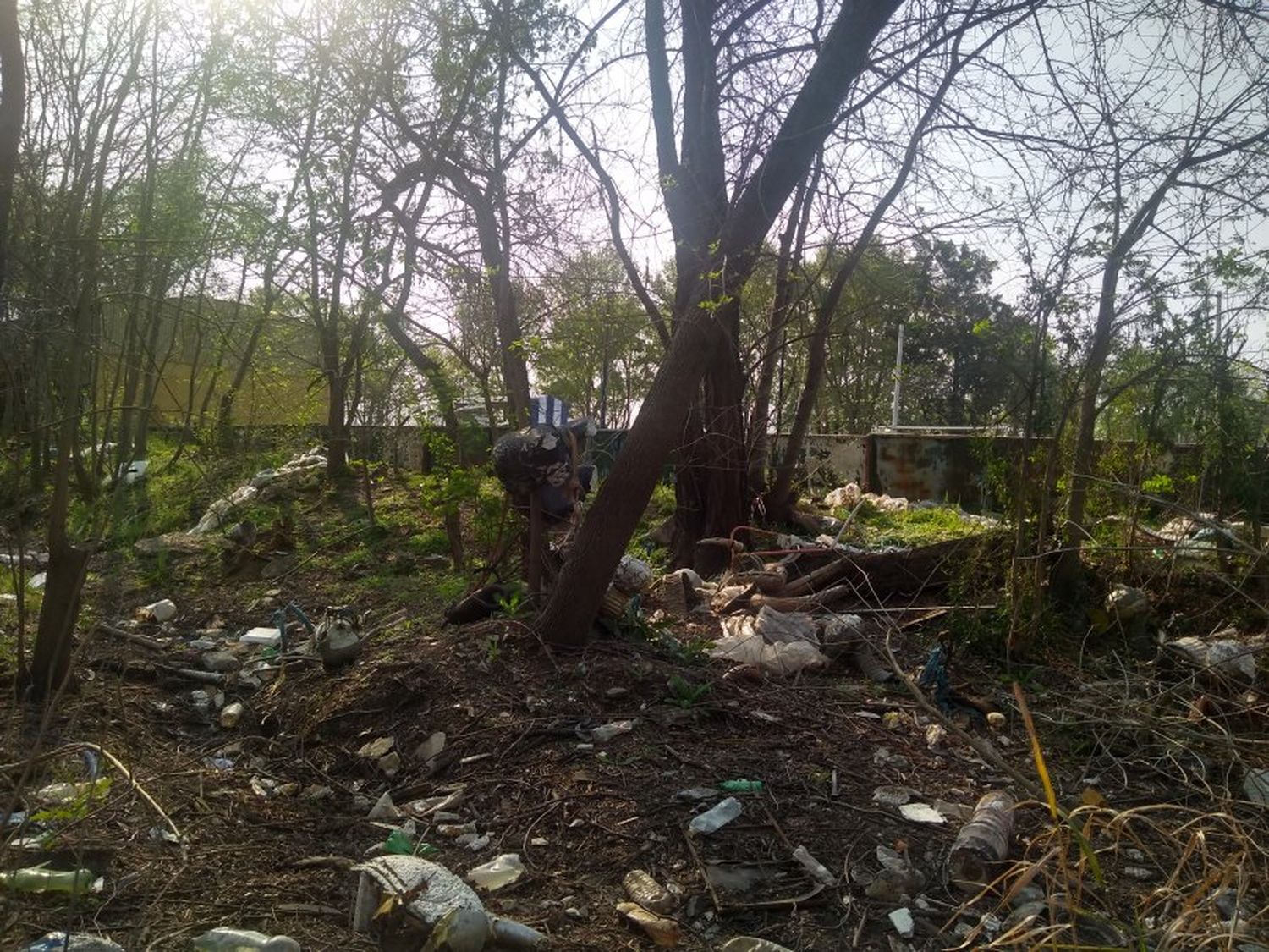 Así está la zona detrás del Club de Pescadores, más precisamente el lugar más cercano al río Gualeguaychú.