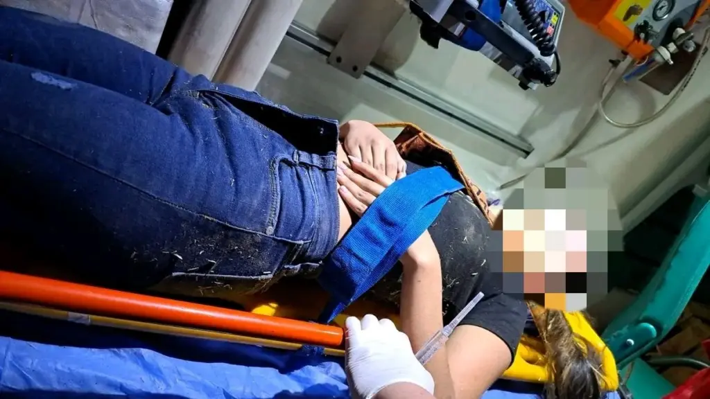 La menor fue derivada al Hospital Posadas.