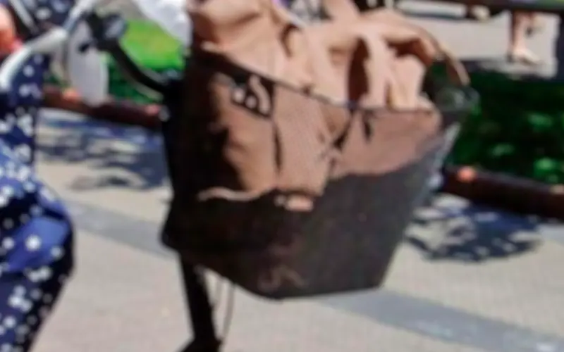 Motochorro le robó la mochila del canasto de la bici a una mujer y su hija de 4 años