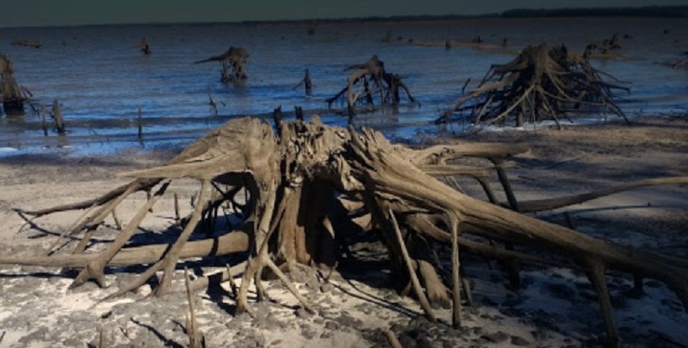 Turismo por un día en Federación para el 9 de julio