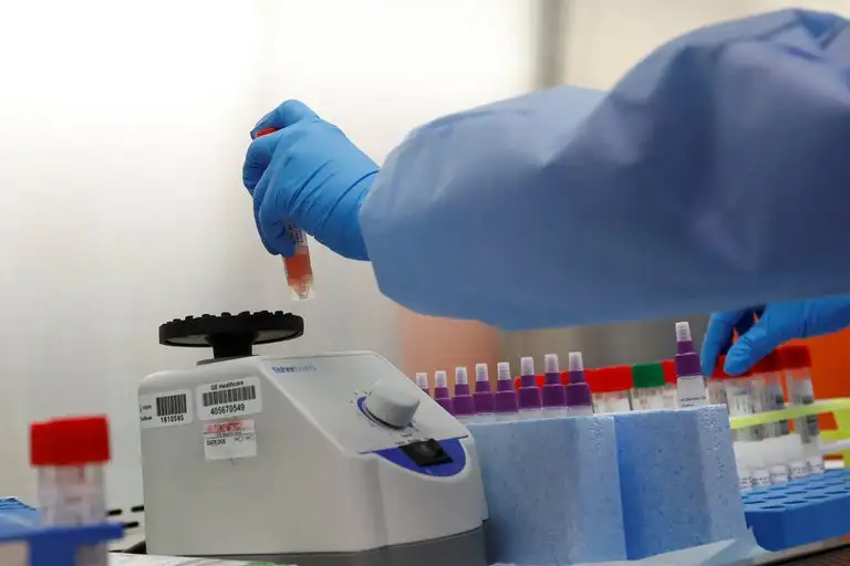 Las nuevas mutaciones pueden afectar los tests y resultar en falsos negativos