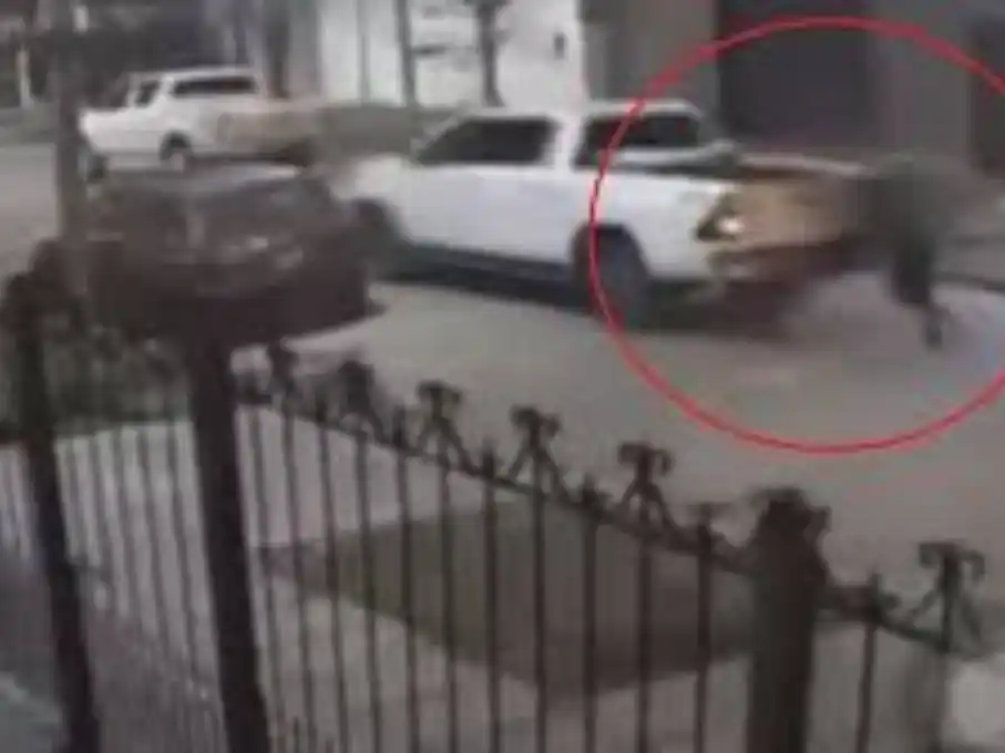 Las cámaras capturaron el insólito robo