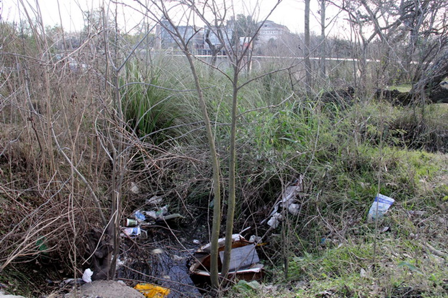 Camino de la costa: Vecinos alertan sobre aguas servidas que desembocan en el río