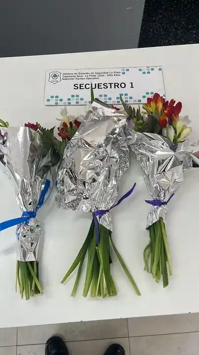 Se quedó sin sus flores amarillas: robó flores para su enamorada y terminó detenido