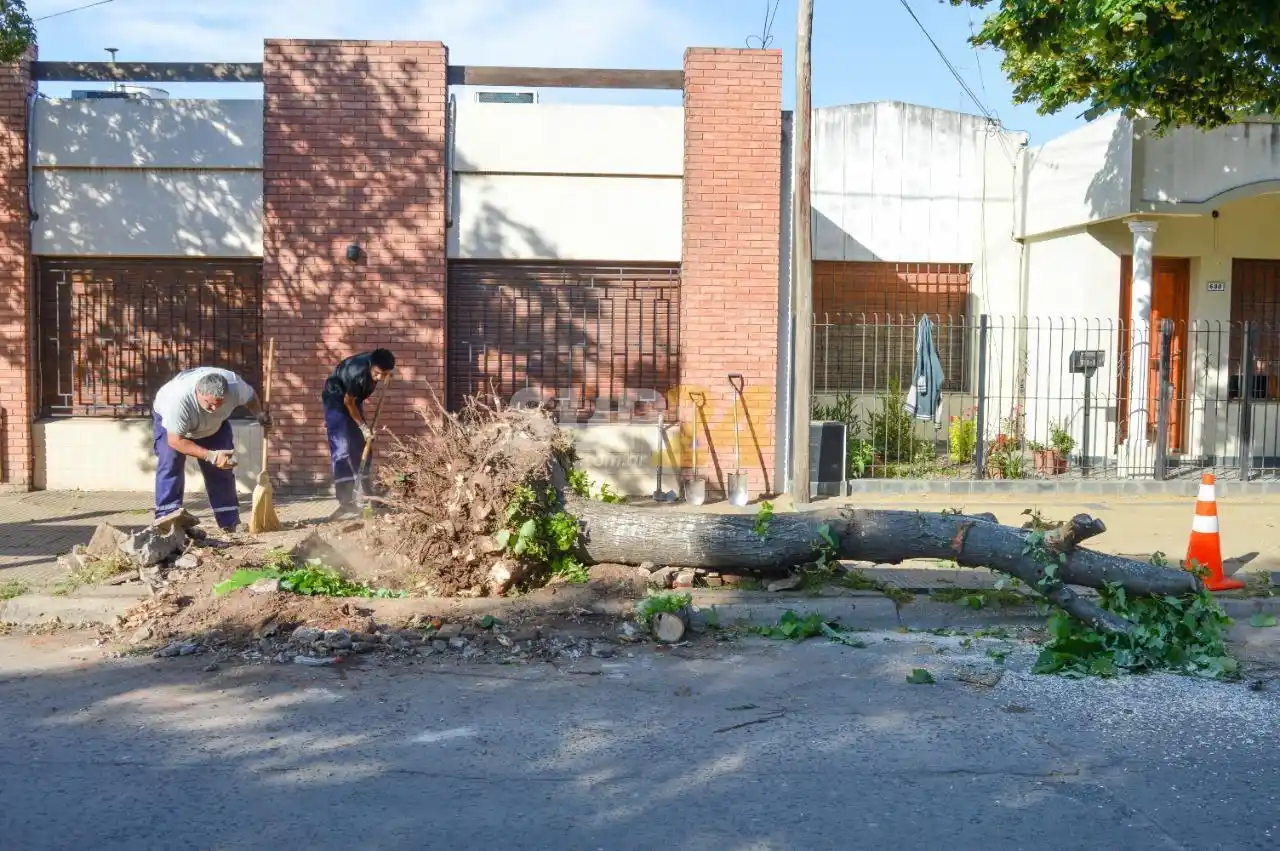 Equipos municipales realizan poda, limpieza y desmalezado en plazas y calles