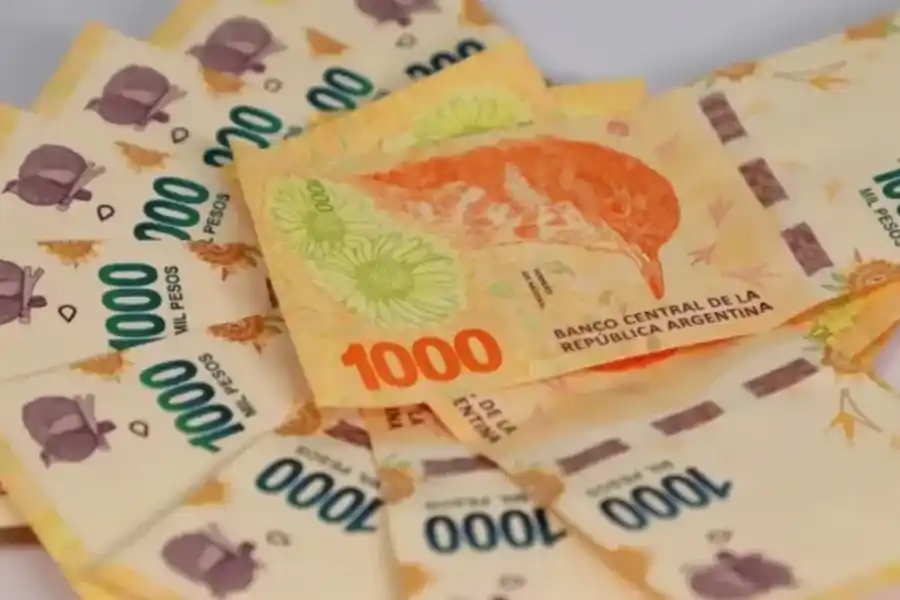 Lanzaron un nuevo programa de financiamiento con destino libre: ¿de qué se trata y cómo acceder?