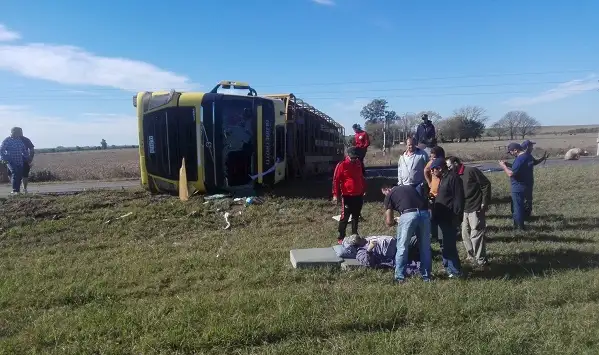 Un camión cargado con cerdos volcó en la Ruta 14