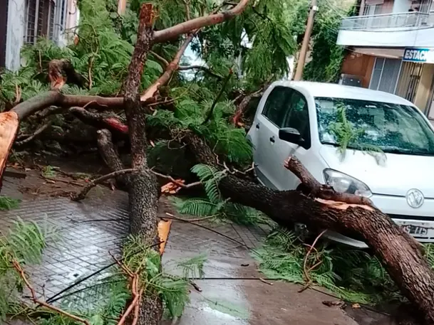 Las cuadrillas municipales realizaron más de 250 intervenciones por las tormentas que azotaron a Rosario