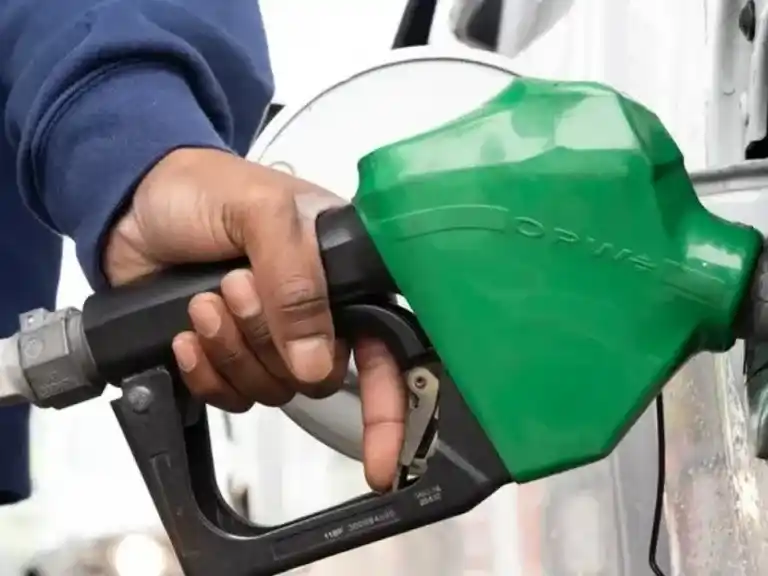 Nuevos subsidios al combustible en Francia