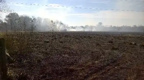 Importante incendio de pastizales en el predio de la Universidad de Luján