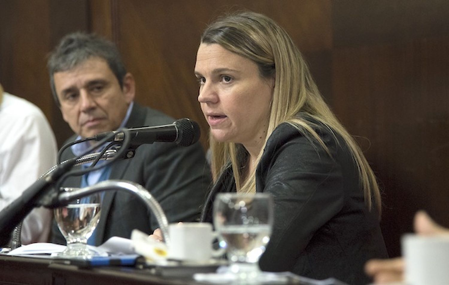 La senadora Petrovich, re caliente con la UCA: "Mintieron con la pobreza para perjudicar a Macri"