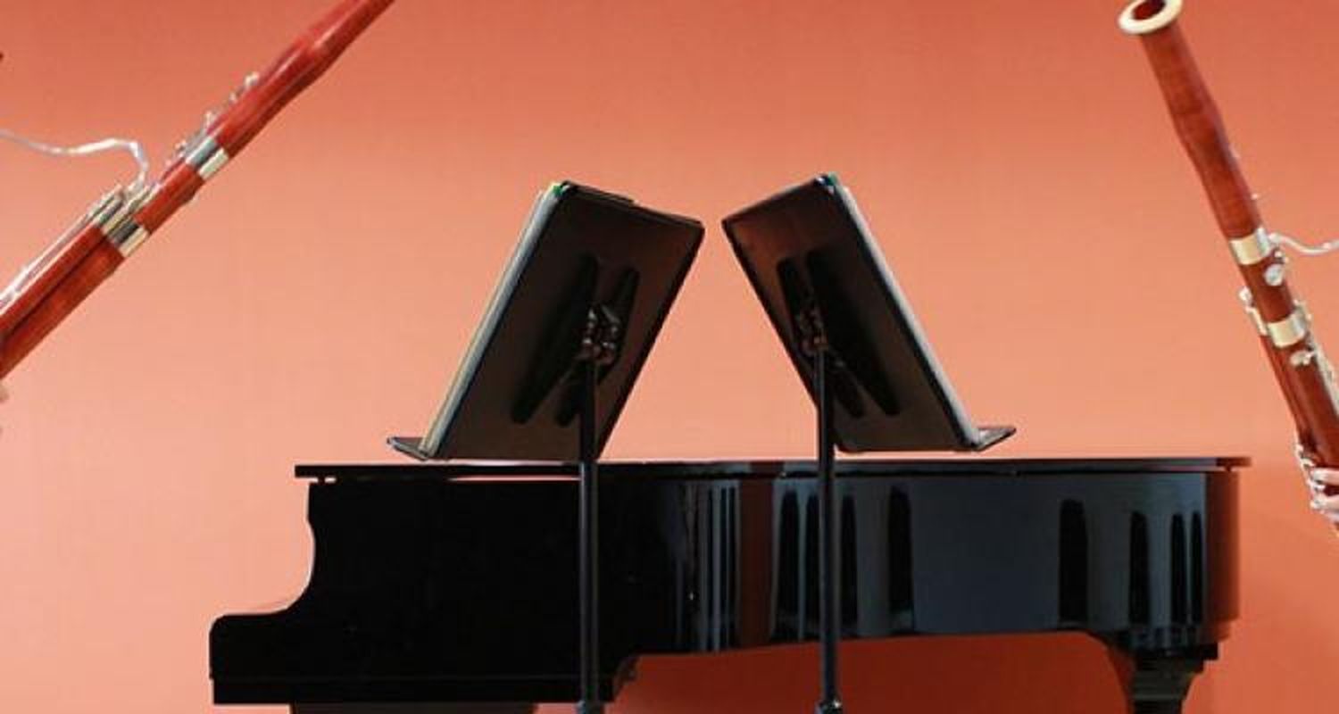 Este sábado, concierto de fagot y piano en la Biblioteca Popular