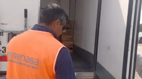 SENASA decomisó 3.000 kilos de pollo transportados sin control sanitario en la Ruta 7, a la altura de Luján