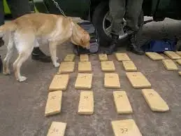 Gualeguaychú: investigan el hallazgo de más de 15 kilos de droga en la RN12