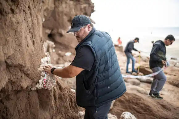 Hallazgo de un gliptodonte: registro de cuando Mar del Plata todavía no era Mar del Plata