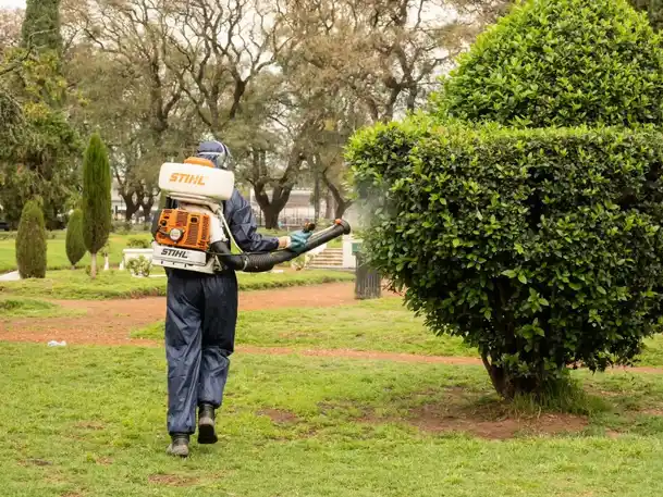 El municipio continuará esta semana con los operativos de fumigación en plazas y espacios verdes