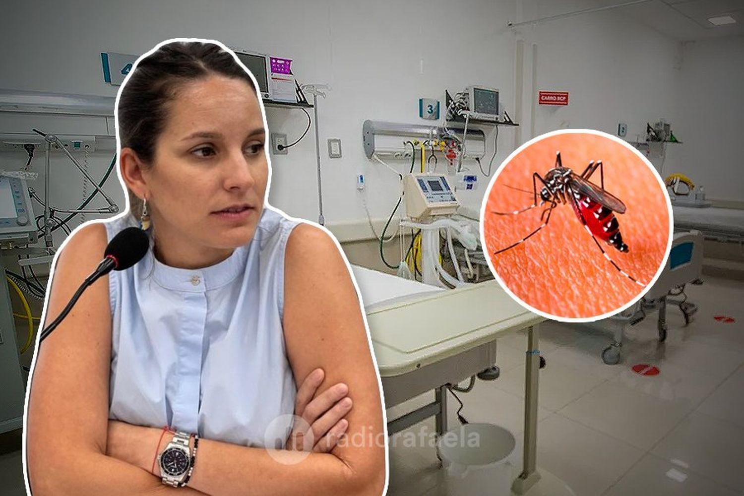 Caruso pidió al Municipio más información sobre los casos de dengue: “Es clave para trabajar en prevención”