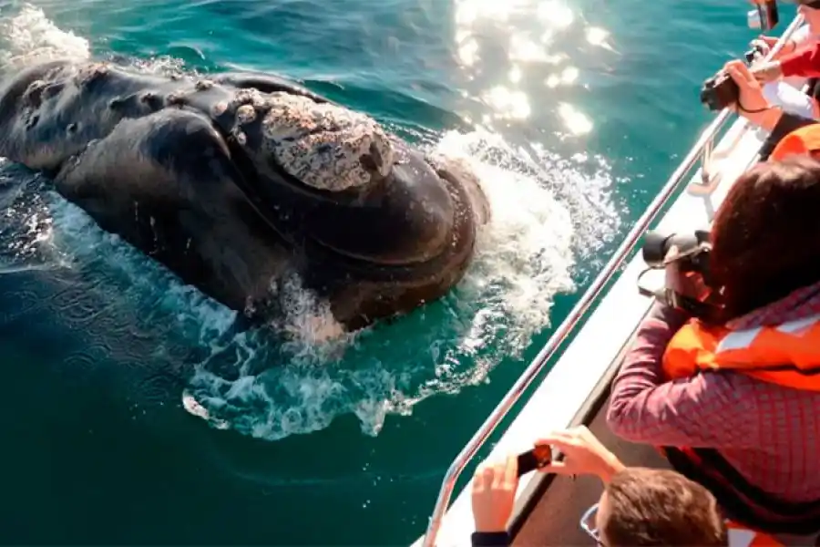 Claves para aprovechar el PreViaje 4: desde cuándo se accederá a los beneficios