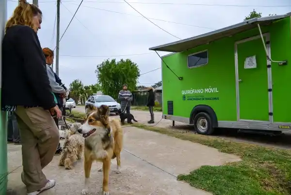 Continúa este mes el programa de castraciones para mascotas en el barrio Los Sauces