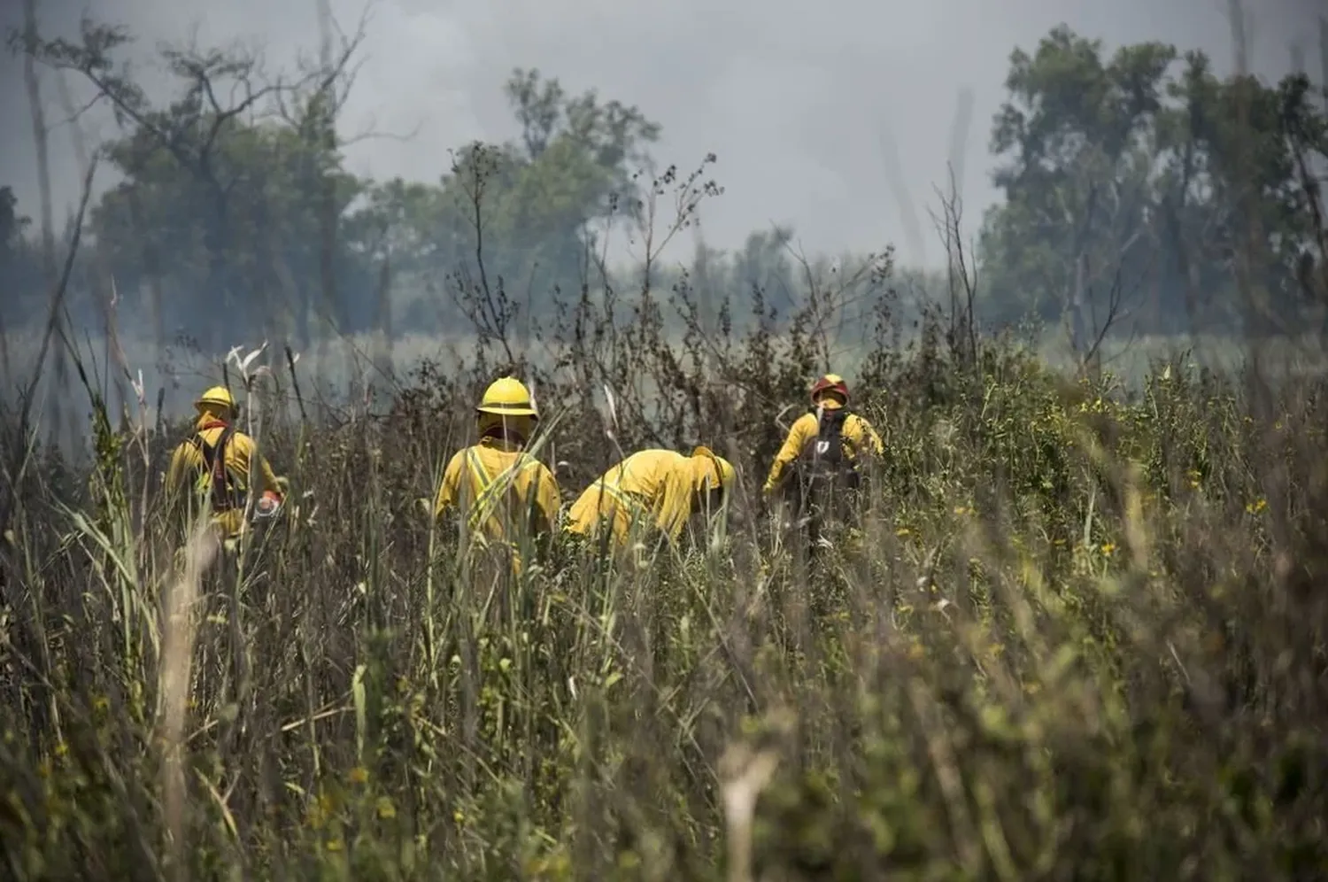 Bomberos Zapadores de la provincia de Santa Fe afirman que la situación es muy “distinta” a lo sucedido en 2022, cuando los incendios abrumaron a toda la ciudad de Rosario. Foto: Archivo.