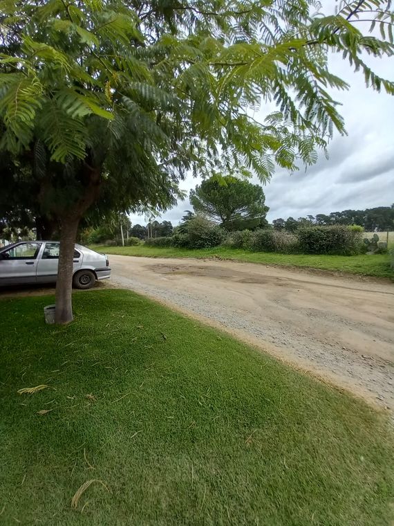 Vecinos de De Pietri al 1100 reclaman por el estado de la calle y advierten por los accidentes