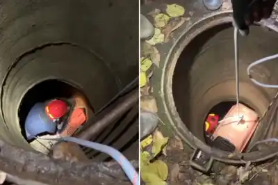 Video: dramático rescate en Moscú, un perro cayó 4 metros por una alcantarilla