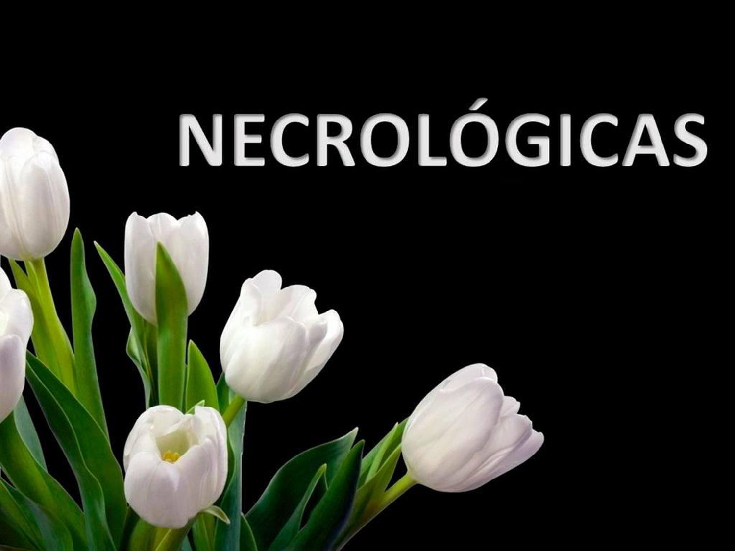 NECROLÓGICAS DE LA SEMANA