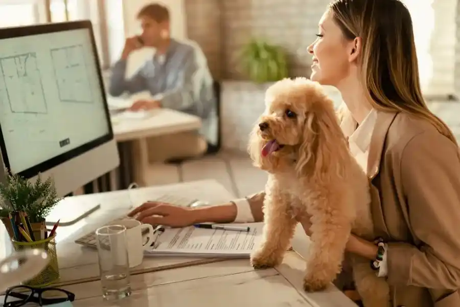 Los beneficios de llevar las mascotas al trabajo