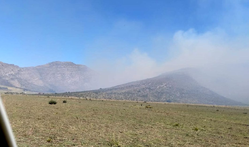 Bomberos de Tornquist, Saldungaray y Sierra trabajan en un incendio en la zona de Estomba. Foto: FM Reflejos 103.7
