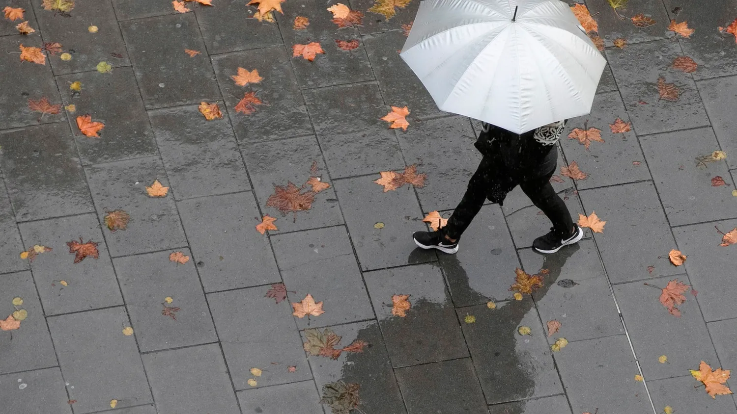 Mayo llegaría a Venado Tuerto y la región con una acentuada baja en las marcas térmicas, mientras que abril se despediría dejando algunas precipitaciones.
