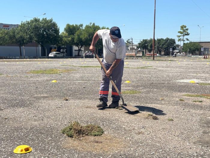 Realizan tareas en el Predio de la Flor