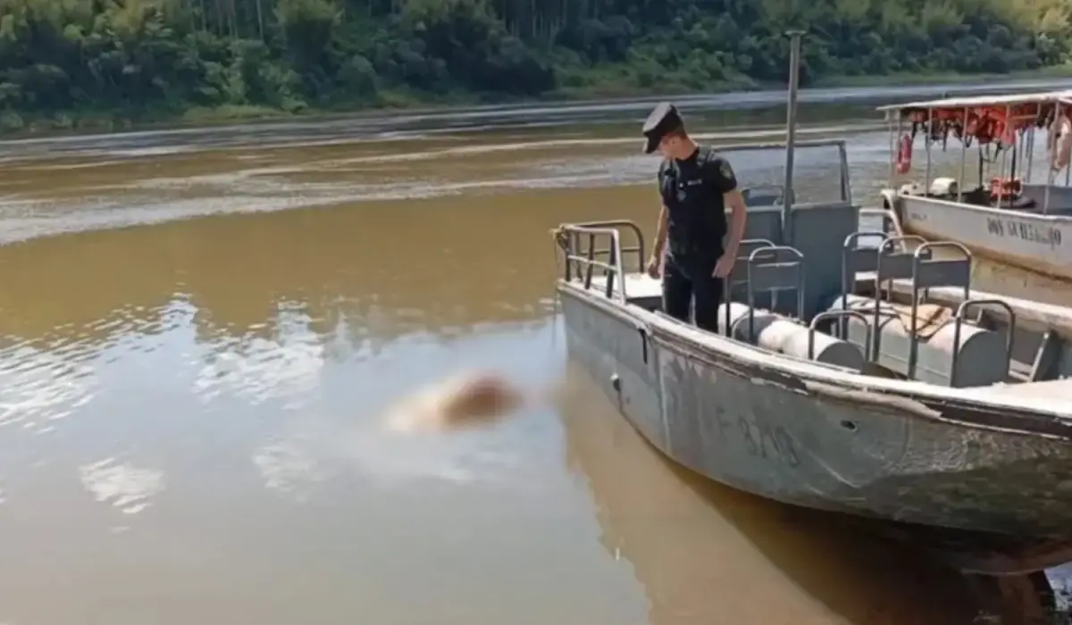 Macabro: hallaron un cuerpo con una bolsa en la cabeza en el río Paraná y abrieron una investigación internacional