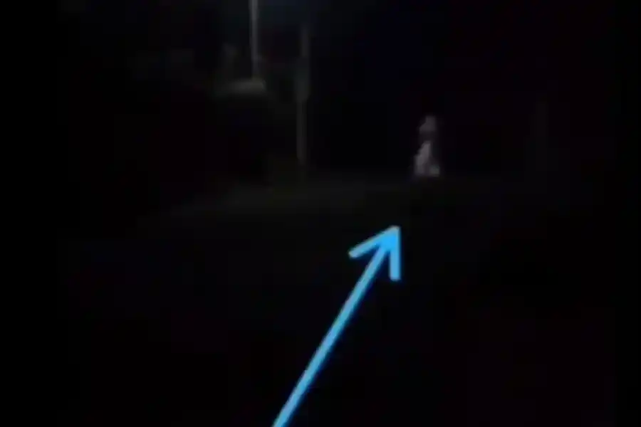 VIDEO | Apareció "La Llorona" en Carlos Paz y el terror invadió las calles