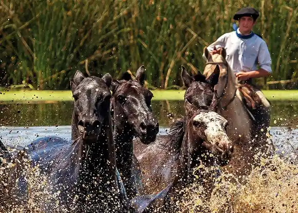 Fin de semana XL con tradición, cerveza, queso, cordero deshuesado y omelette gigante