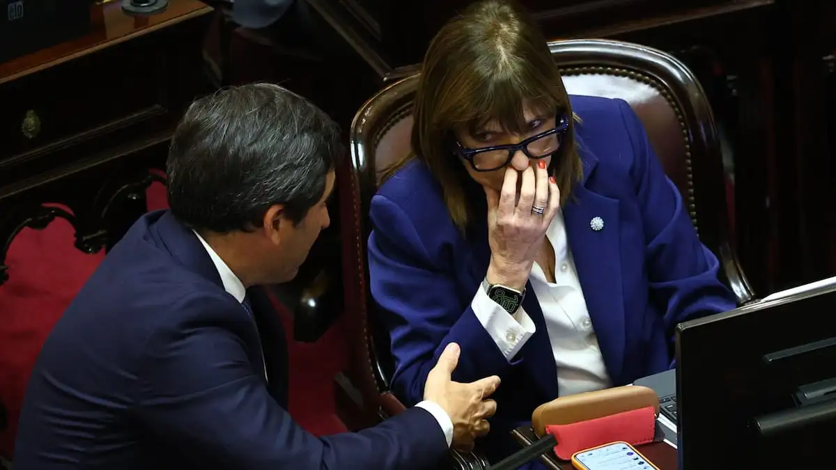 Los senadores Martín Goerling y Patricia Bullrich en plena sesión.