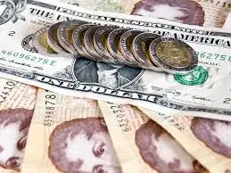 Cotización del dólar: El blue a 13,15 pesos y el oficial estable