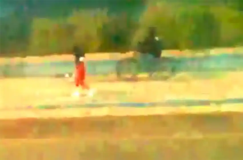 Video: persiguió a una mujer, le robó el celular, pero fue detenido