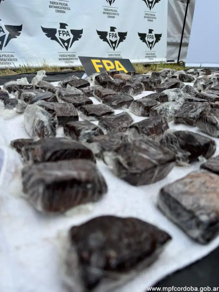 brownies locos - 2
