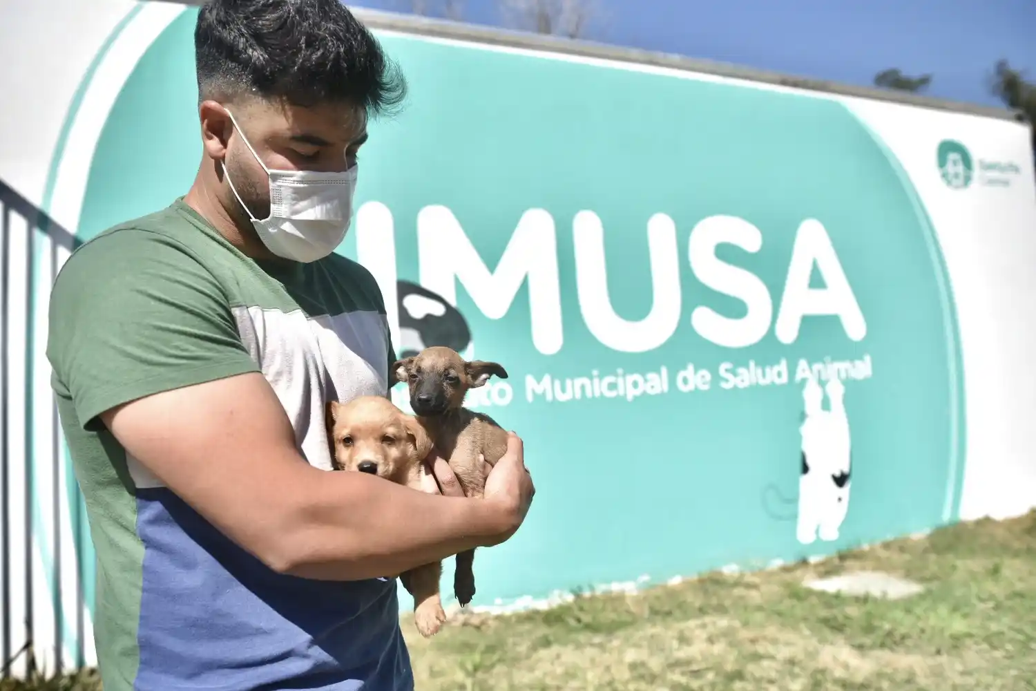 Más de 120 perros y gatos rescatados esperan ser adoptados en el IMUSA