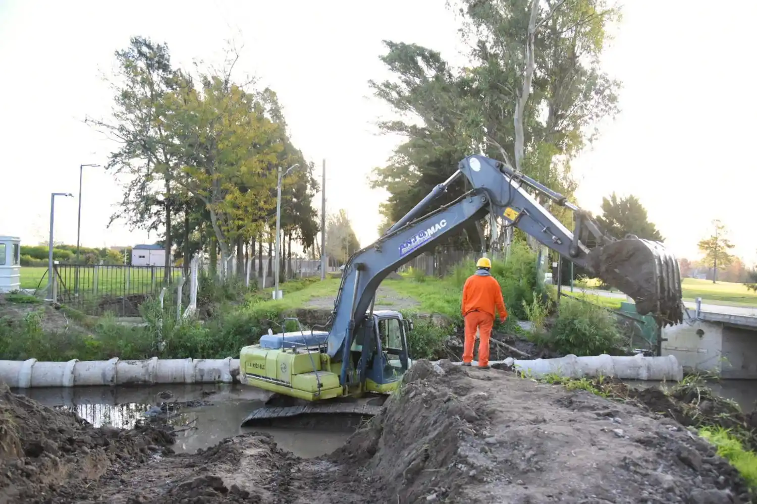 alak obras