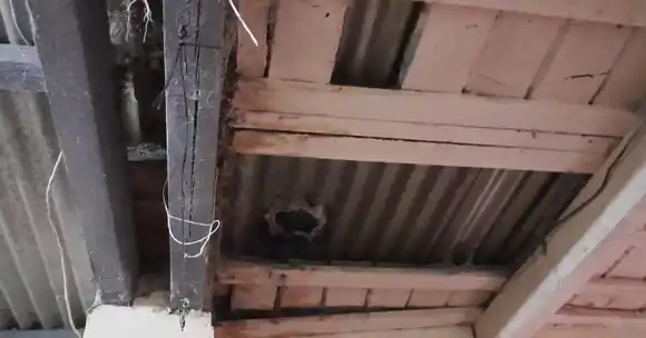 Detectaron 16 trabajadores no registrados y graves irregularidades en tambos