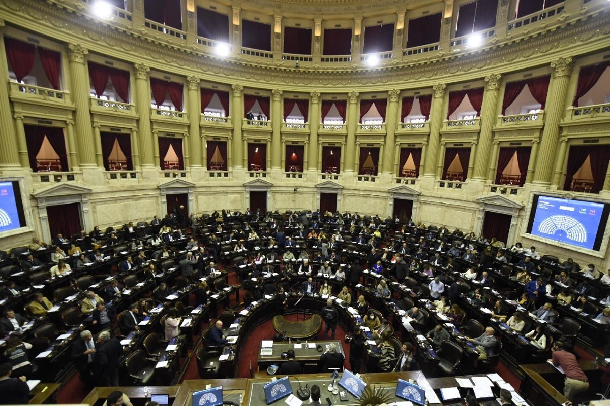 Aliados al Frente de Todos presentaron proyecto en Diputados para eliminar las PASO