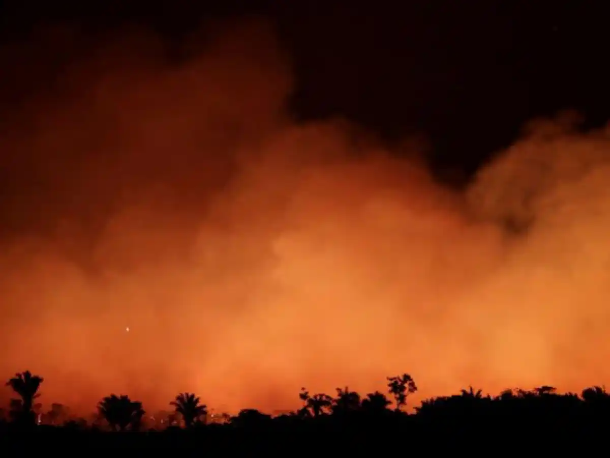 Incendios en el Amazonas: especialistas analizan la principal causa y piden medidas